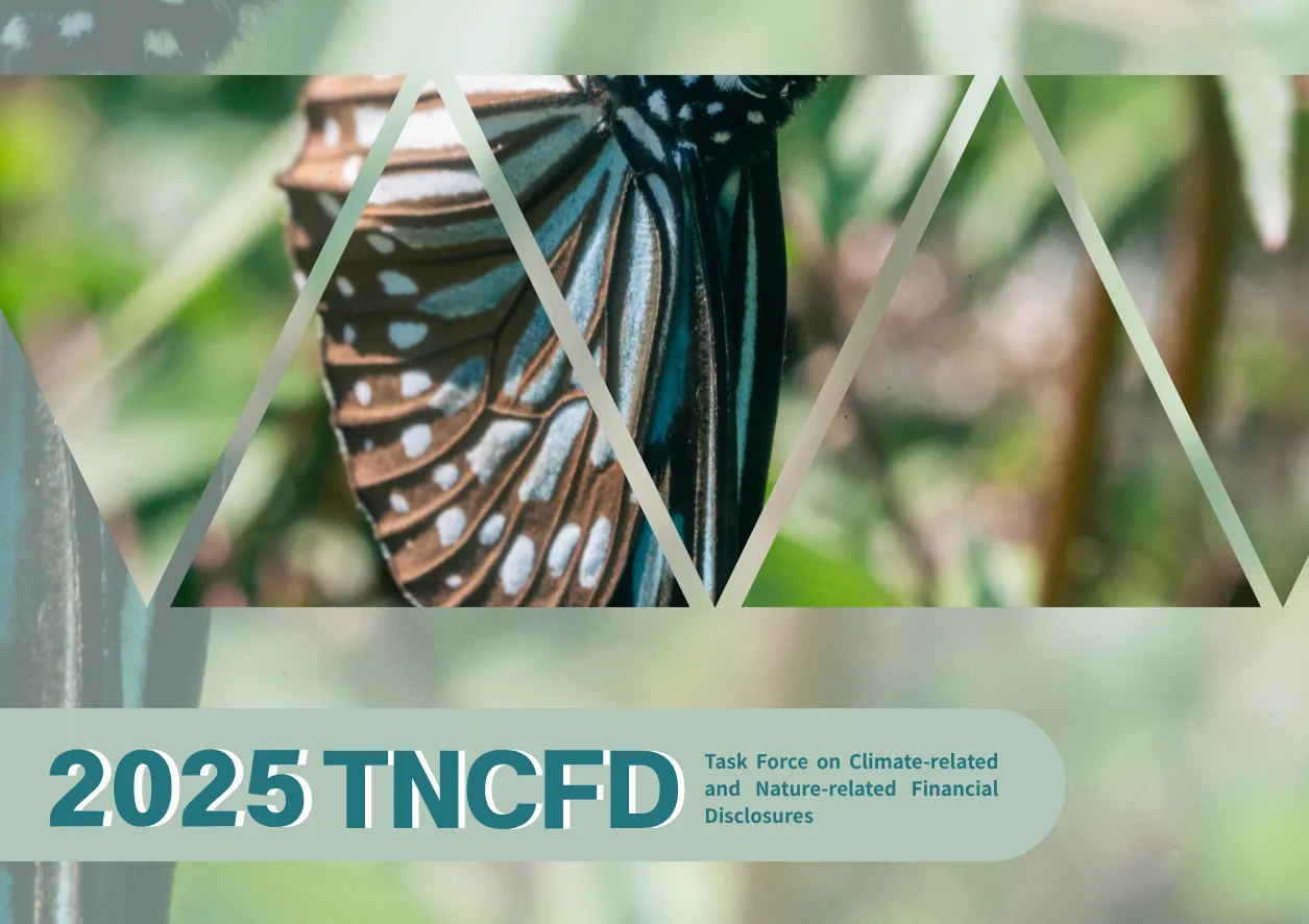 2025 TNCFD Report