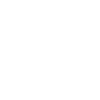 グローバル展開とローカル対応力 icon